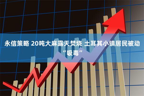 永信策略 20吨大麻露天焚烧 土耳其小镇居民被动“吸毒”