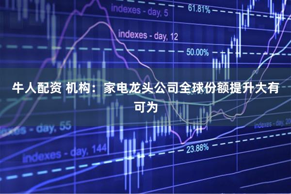牛人配资 机构：家电龙头公司全球份额提升大有可为