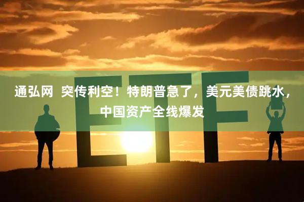 通弘网  突传利空！特朗普急了，美元美债跳水，中国资产全线爆发