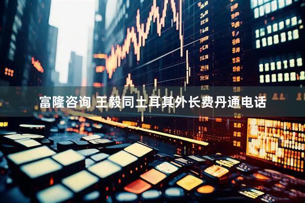 富隆咨询 王毅同土耳其外长费丹通电话