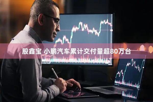 股鑫宝 小鹏汽车累计交付量超80万台