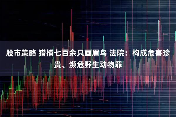 股市策略 猎捕七百余只画眉鸟 法院：构成危害珍贵、濒危野生动物罪