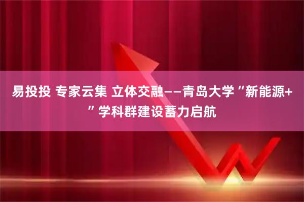 易投投 专家云集 立体交融——青岛大学“新能源+”学科群建设蓄力启航