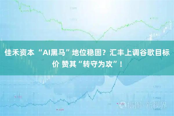 佳禾资本 “AI黑马”地位稳固？汇丰上调谷歌目标价 赞其“转守为攻”！