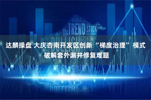 达麟操盘 大庆杏南开发区创新 “梯度治理” 模式 破解套外漏井修复难题