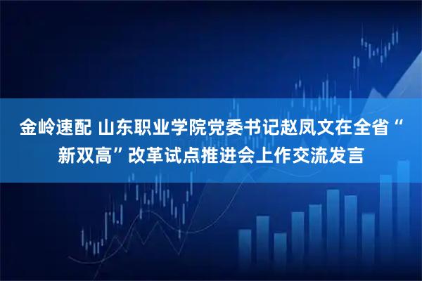 金岭速配 山东职业学院党委书记赵凤文在全省“新双高”改革试点推进会上作交流发言
