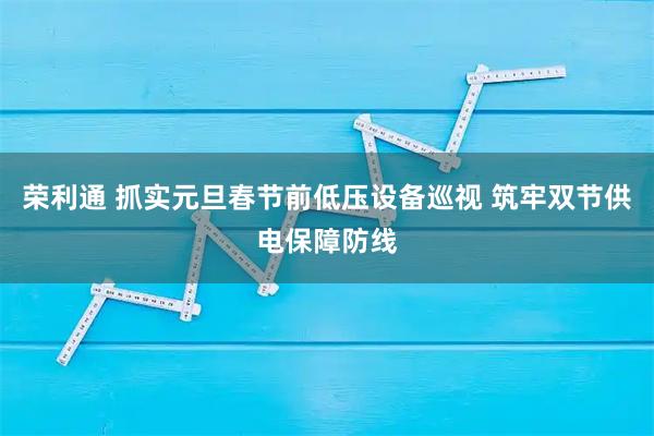 荣利通 抓实元旦春节前低压设备巡视 筑牢双节供电保障防线